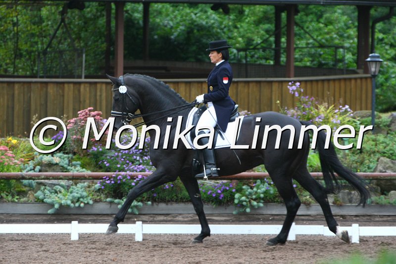 109M0991_Waldenser_Dressur S_St. Georg.JPG